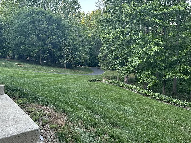 Big Horn Dr — Photo 16