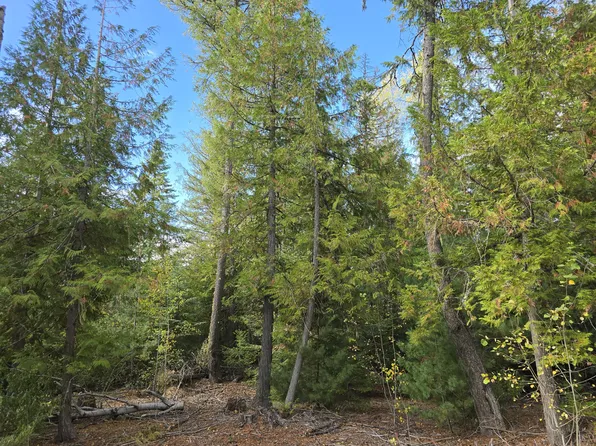 39XX Old Garvey Rd, Colville, WA 99114