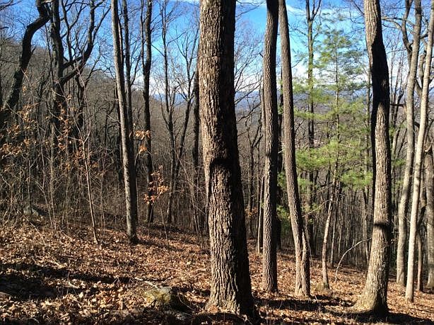 1st image of 99999 Castanea Mountain Dr