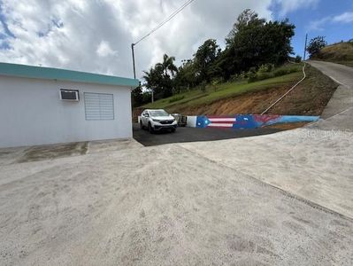Calle 7, Aguas Buenas, PR, 00703