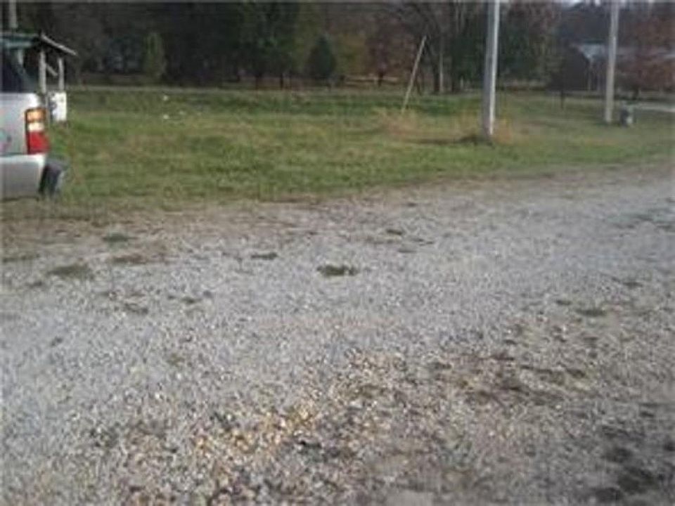 2nd image of 12569 N Highway 59