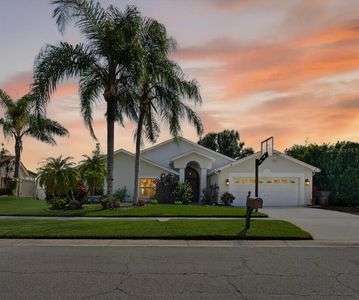 3238 Cullendale Dr, Tampa, FL, 33618