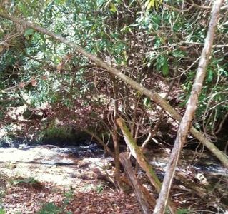 6782 Canada Rd, Tuckasegee, NC, 28783