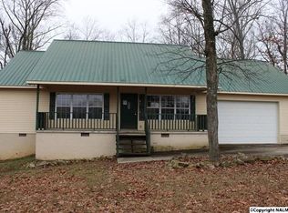 91 Wayne St, Section, AL 35771