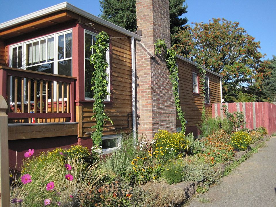 in full summer bloom