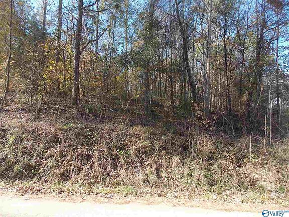 2nd image of 601 Elk River Shores Dr
