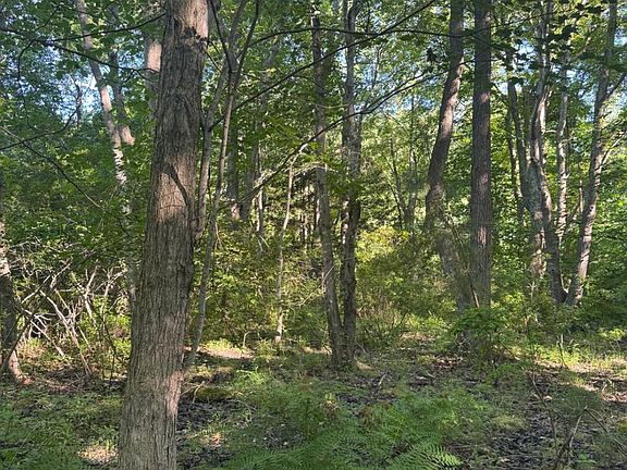 4th image of Lots 47 & 48 Pickering Beach Rd