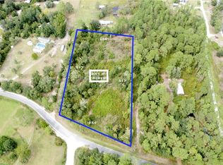 NE 199th Street Rd, Fort Mc Coy, FL 32134