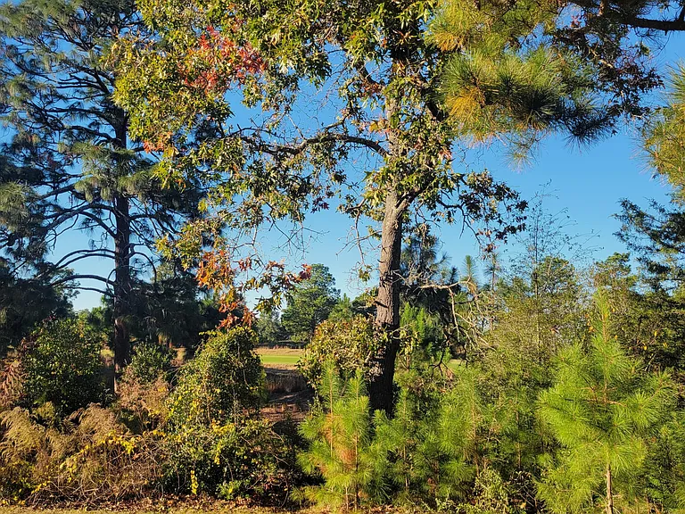 925 Morganton Rd #7C — Photo 47