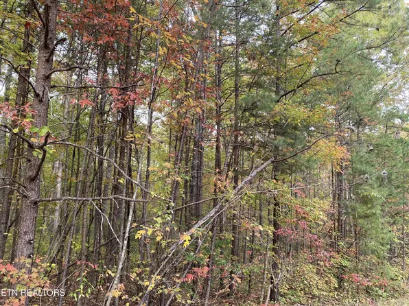 1171 Chuckwagon Trl, Grimsley, TN 38565