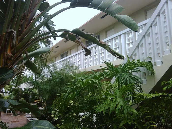 340 - Hemingway At Wilton Manors LLC - 4-610 — Photo 2
