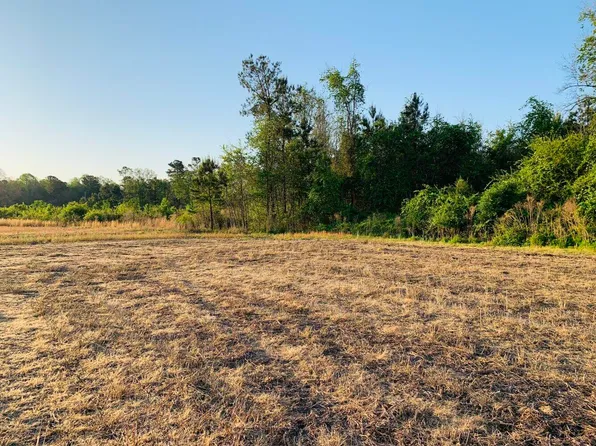 0 Benchwood Rd, Saint George, SC 29477