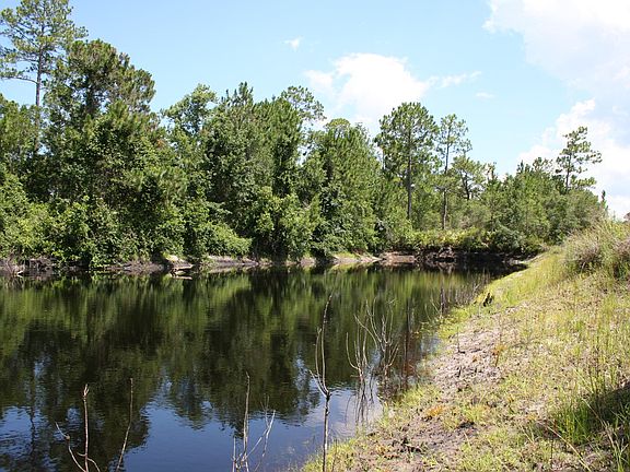 5th image of 2065 COUNTY ROAD 214