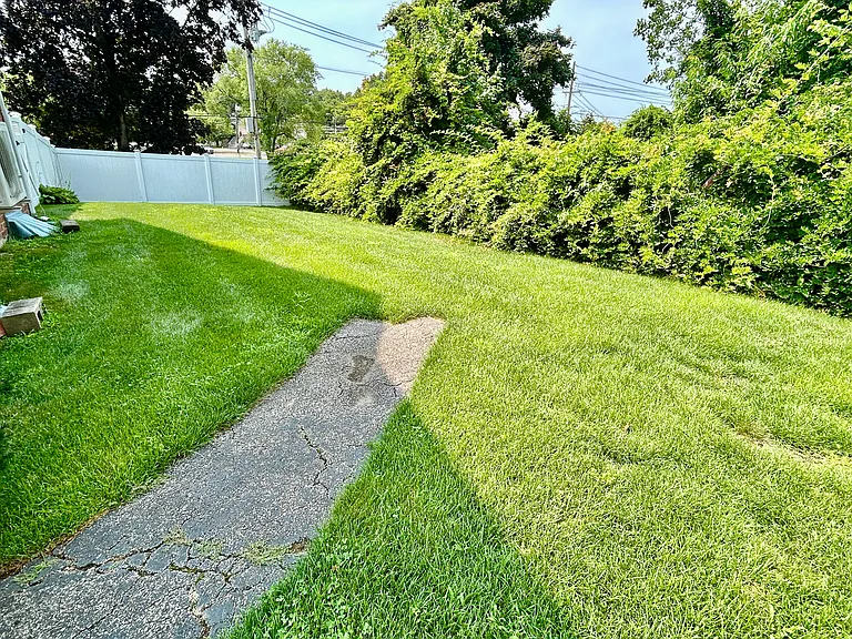 backyard facing Haypath Rd