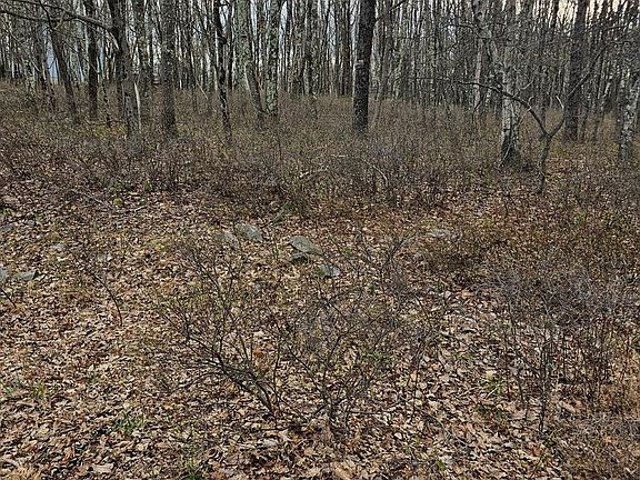 4th image of 0 E Point Rd