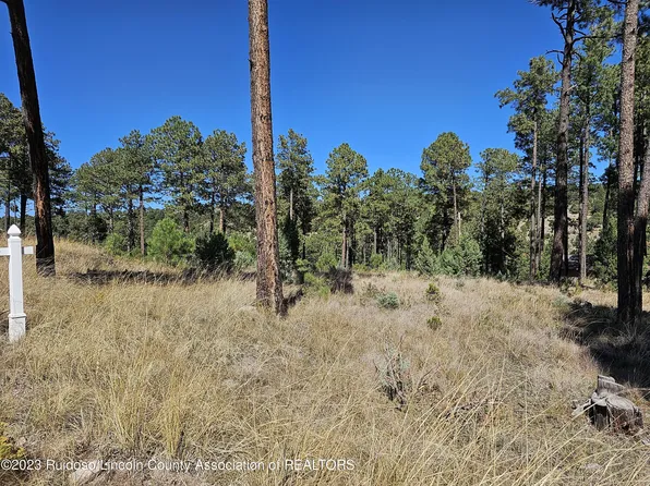 369 El Camino Dr, Alto, NM 88312