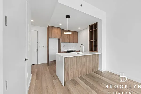 Rented by Brooklyn High Rise LLC | media 23