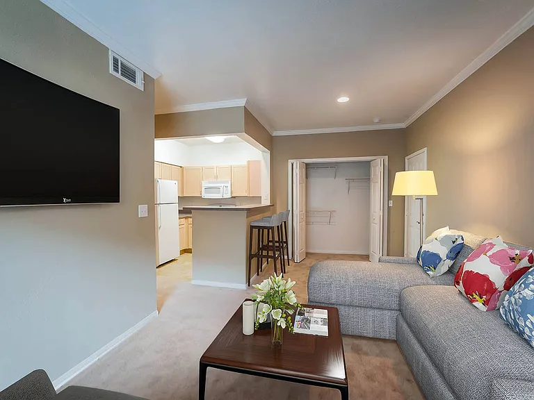 Villa Springs — Photo 19