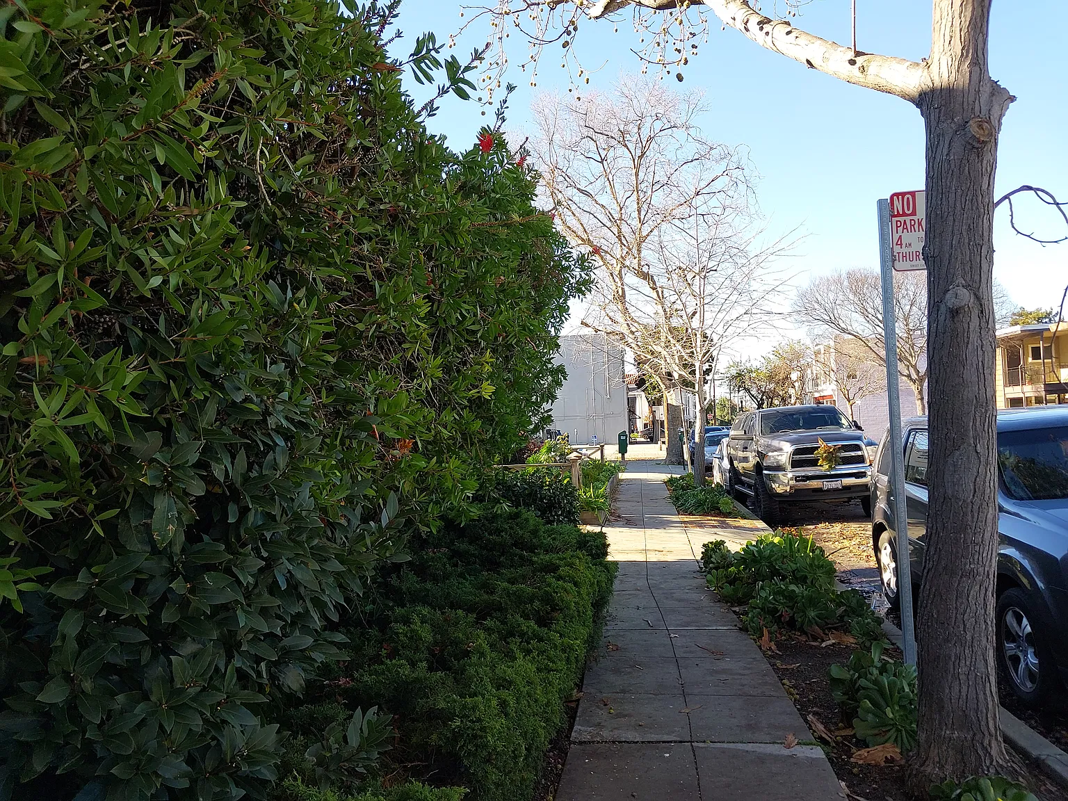 Capuchino Ave, Burlingame — Photo 4