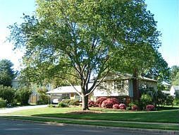 4804 King Richard Drive
