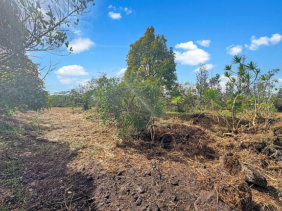 4th image of 38th Ave Lot 33