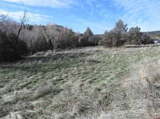 5612 County Rd #335-X, Pagosa Springs, CO 81147