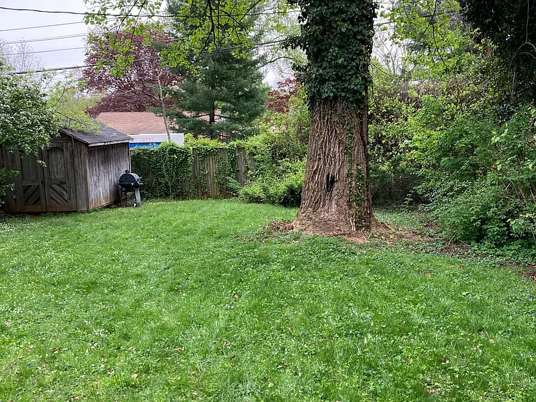 fenced back yard