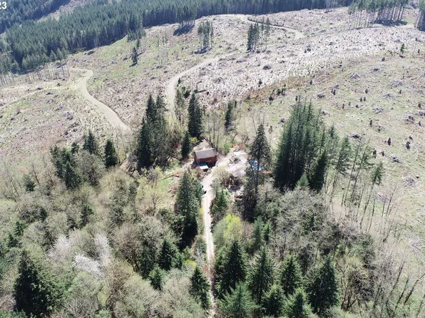 24615 NE Fern Dr, Amboy, WA 98601