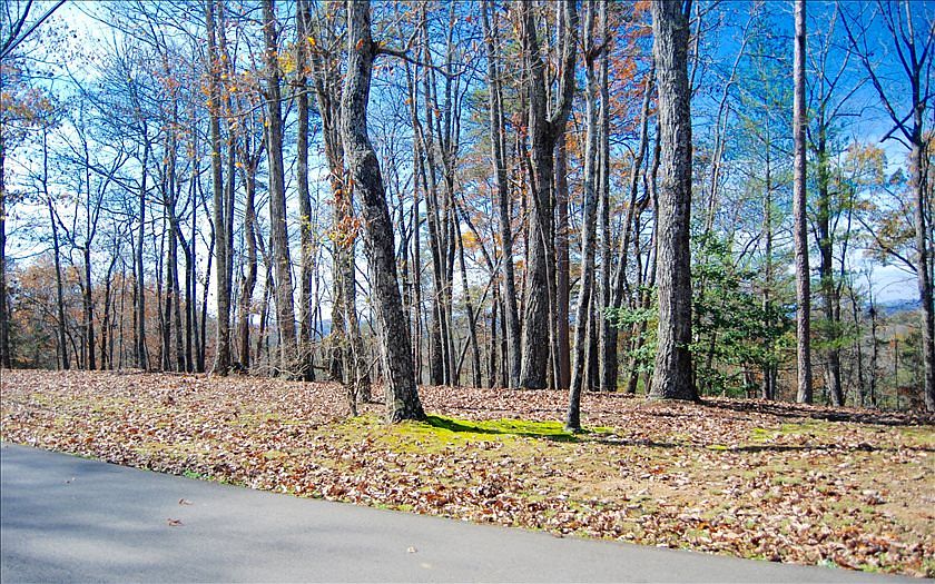 2nd image of Oak Ridge Rd
