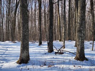 0 Goose Creek Rd, Laona, WI 54541