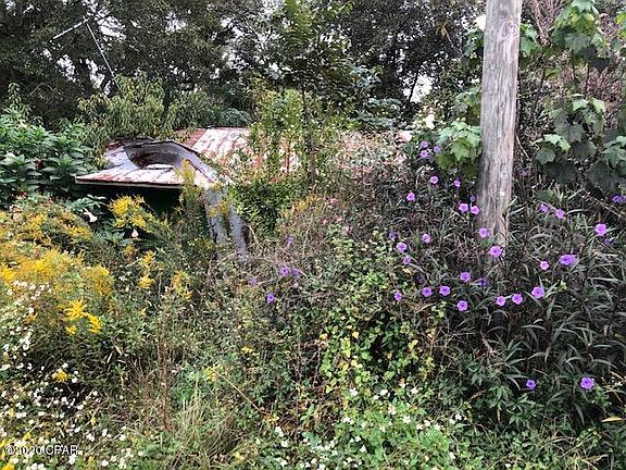 3rd image of 5314 Forest Dr