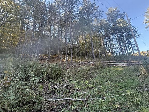 2nd image of 0 Loucks Mills Rd