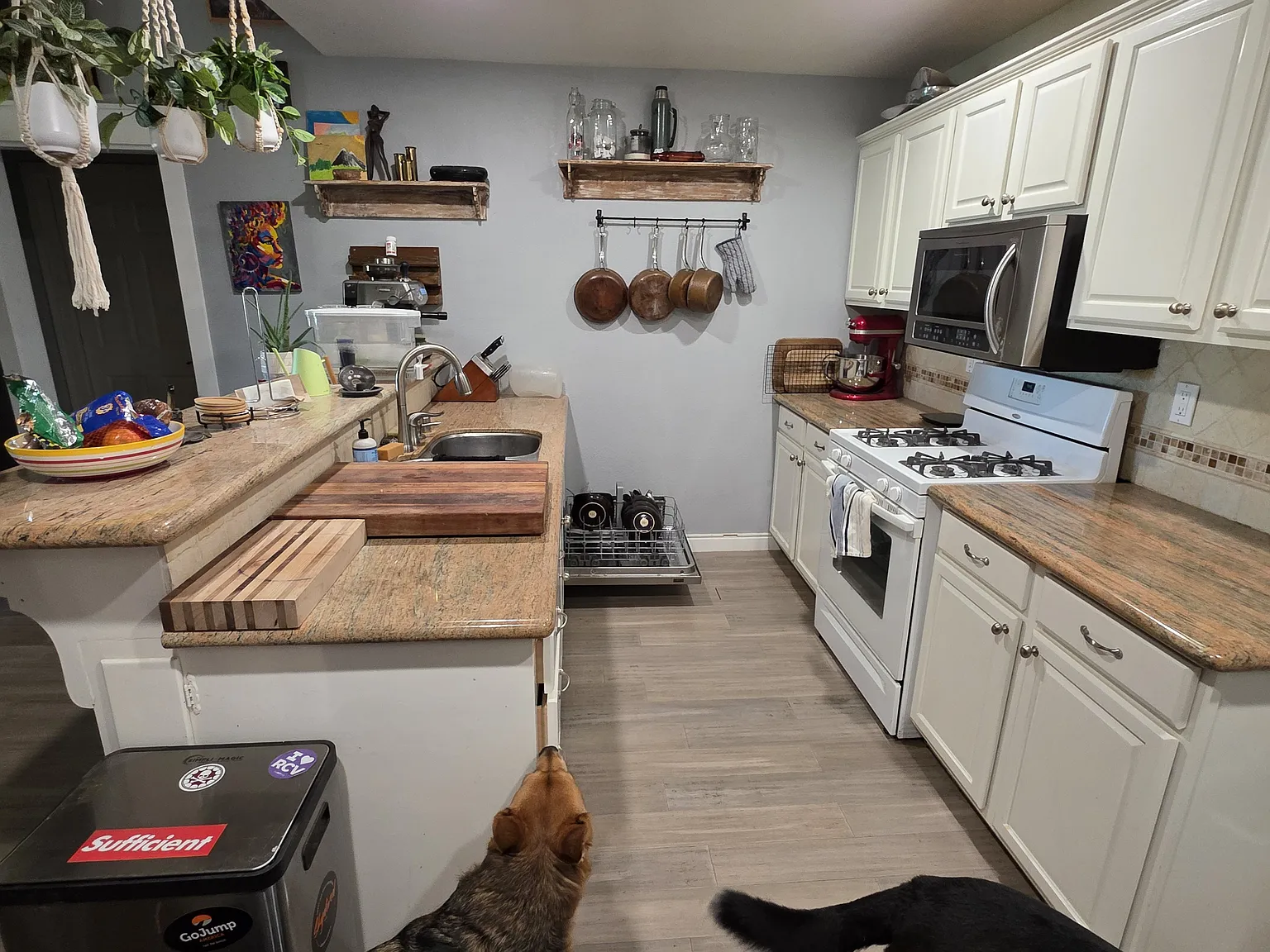 328 Eddie Dr — Photo 3