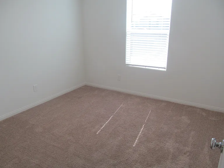 9166 Windsor Wood St — Photo 19