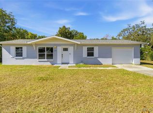 4533 Lakeshore Ave, Spring Hill, FL 34606
