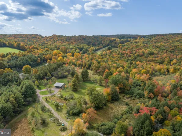 873 Dung Hill Rd, Grantsville, MD 21536