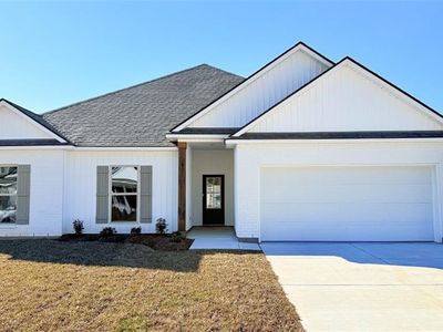 24258 Gadwall Ave, Ponchatoula, LA, 70454