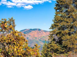 30290 Blue Grouse Ln, Steamboat Springs, CO 80487