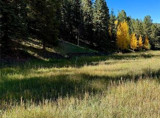 535 Willow Rd, Divide, CO 80814