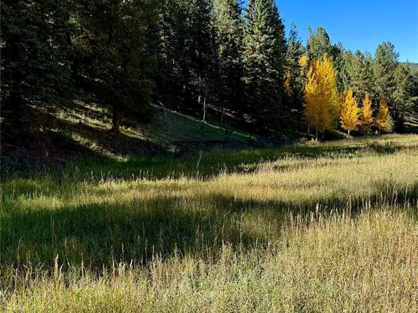 535 Willow Rd, Divide, CO 80814