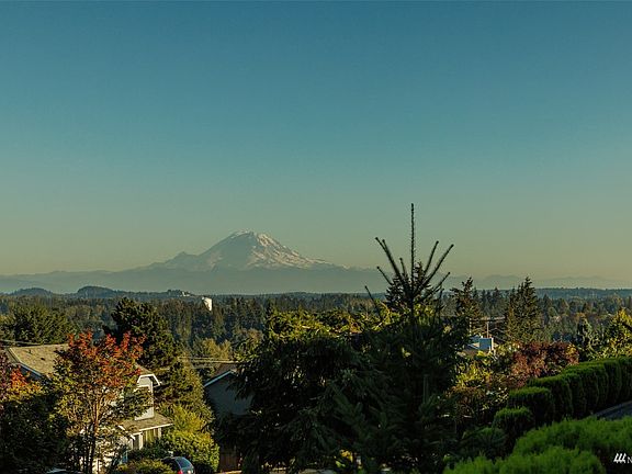Forever Mt Rainier views over the treetops from the front of the home>