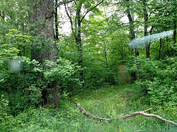 2nd image of 113TH Avenue