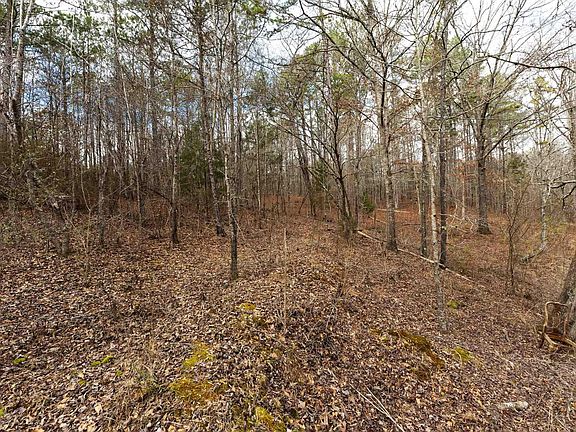 4th image of 1000-1068 Camp Winnataska Rd #1