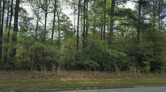 1st image of 175 Juniper Creek Dr