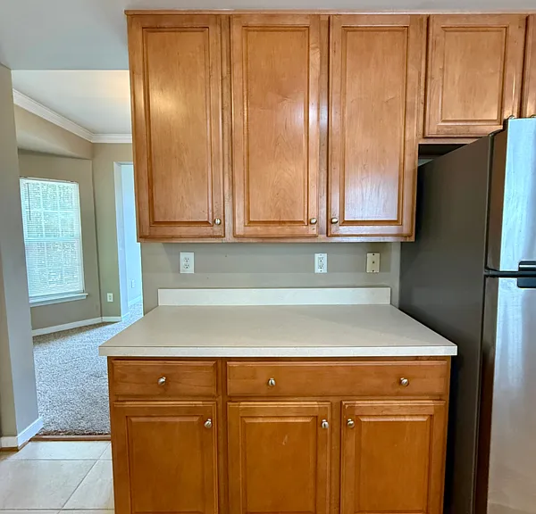 1529 Olde Sage Ct — Photo 19