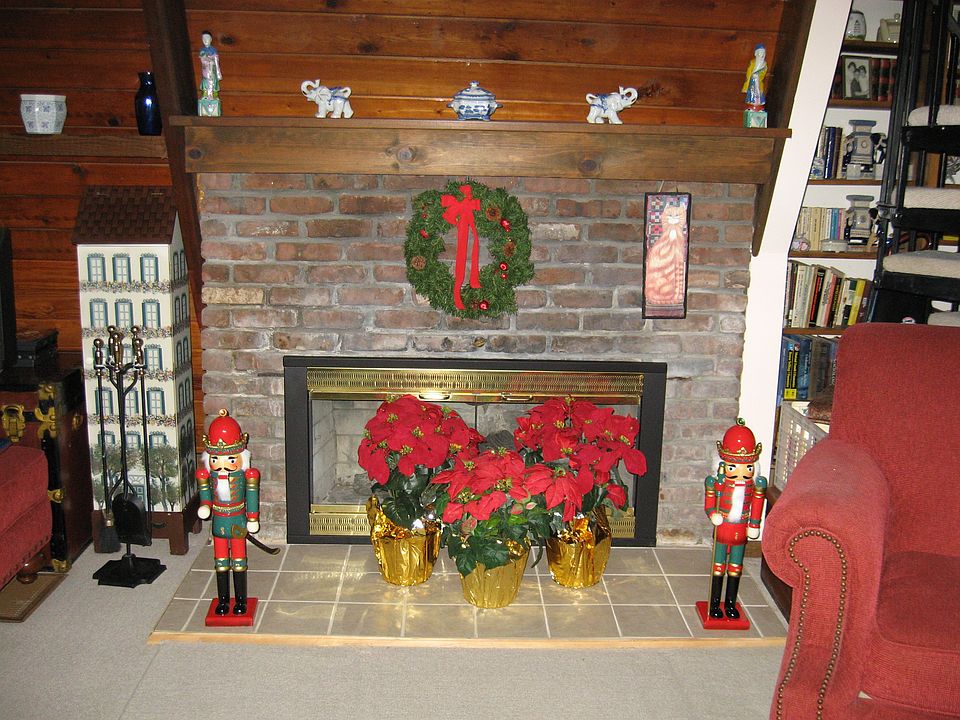 Gas Fireplace
