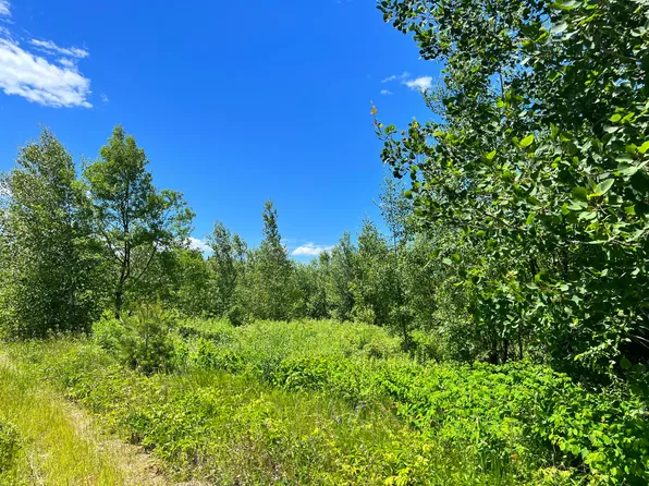 00 US Route One, Waite, ME 04492