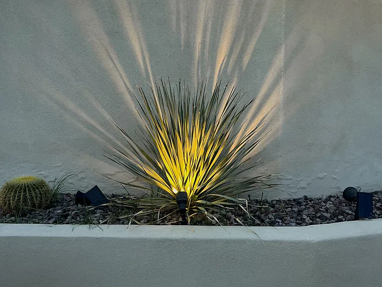 81836 Via San Clemente — Photo 8