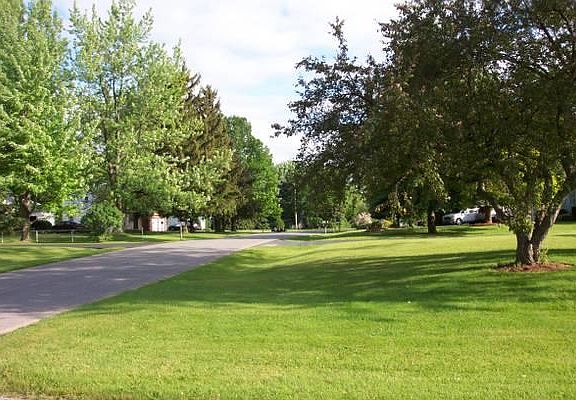 Street Scene - residential neighborhood