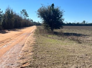 1993 N Iron Bridge Rd, Marianna, FL 32448